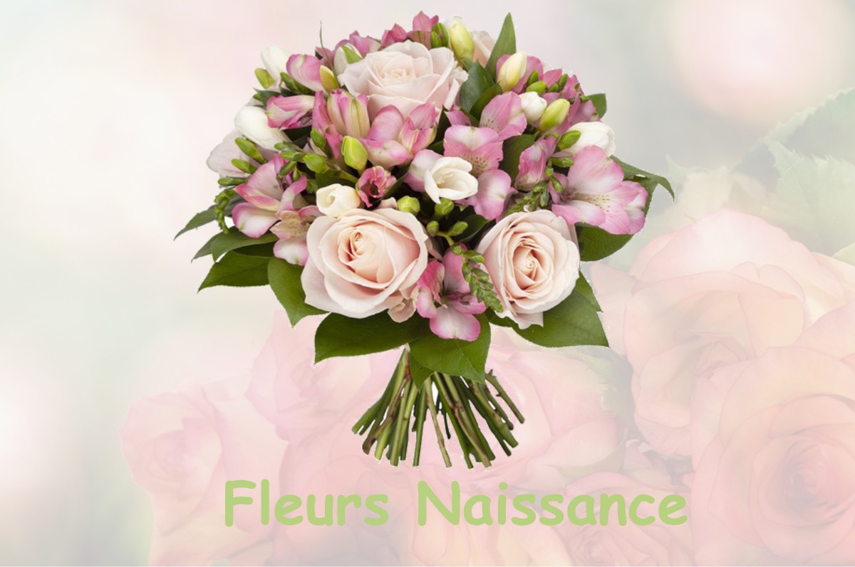 fleurs naissance POINTRE