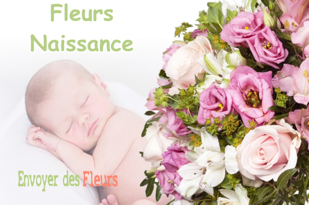 lIVRAISON FLEURS NAISSANCE à POINTRE